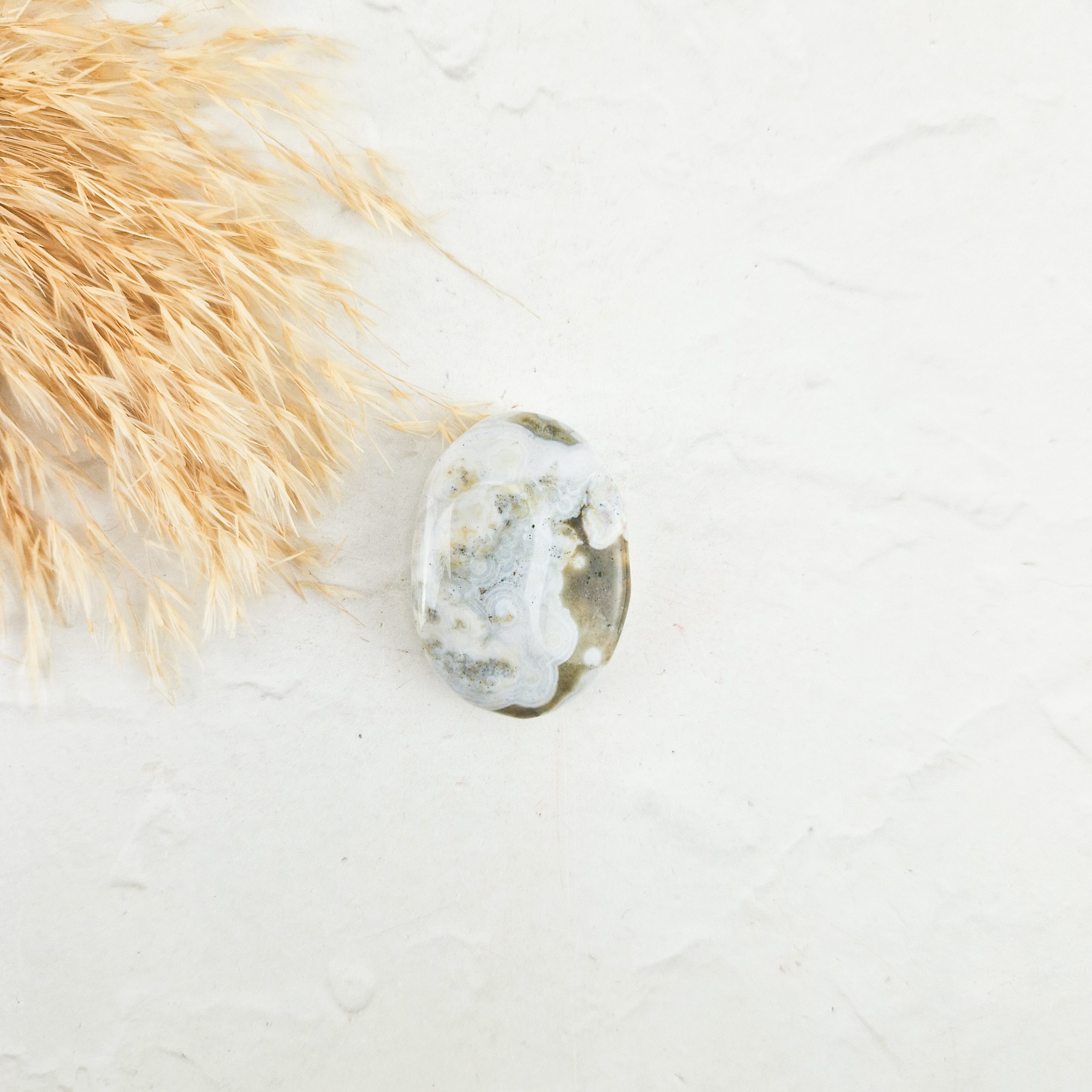 Oceaan jaspis palmsteen