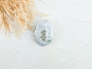 Oceaan jaspis palmsteen