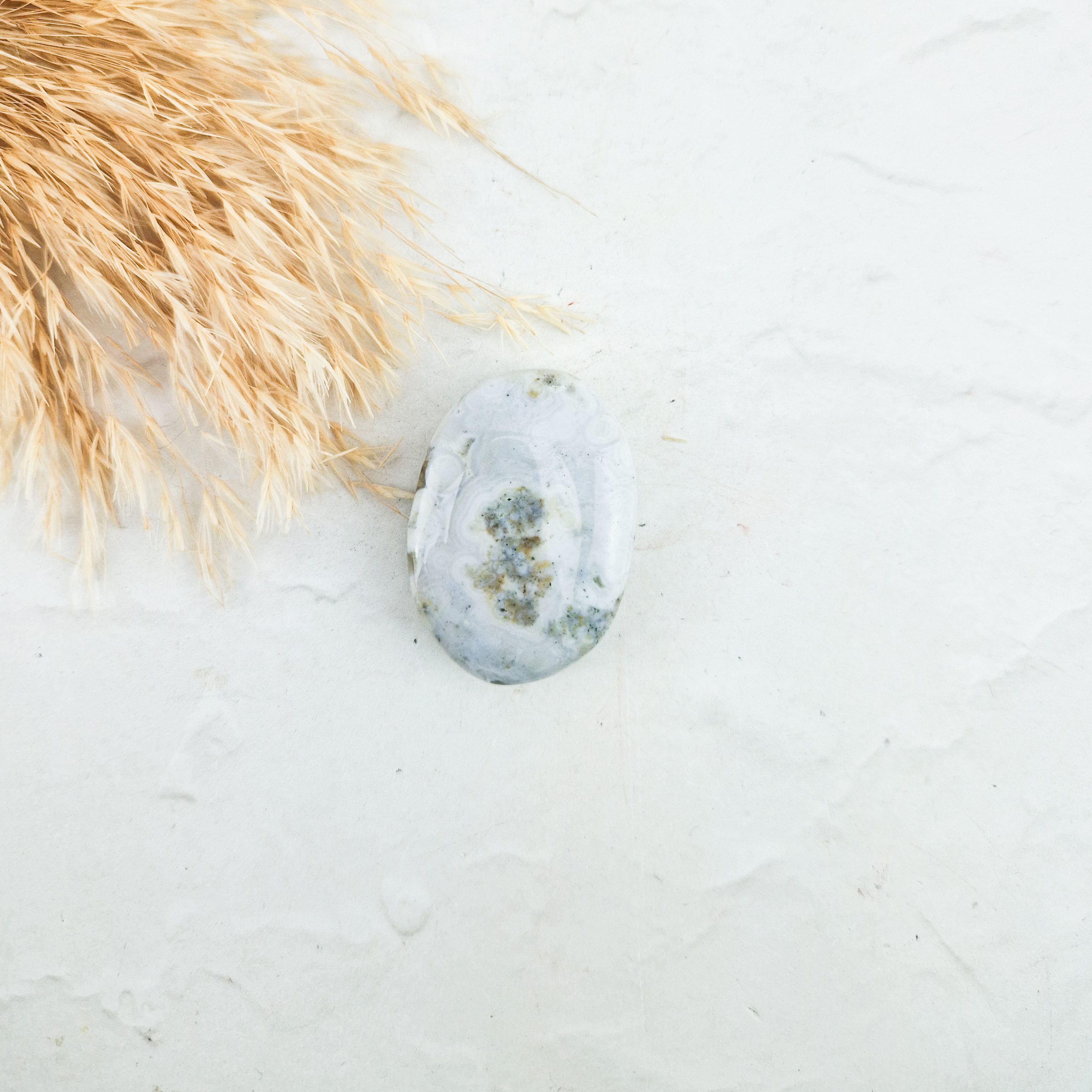 Oceaan jaspis palmsteen