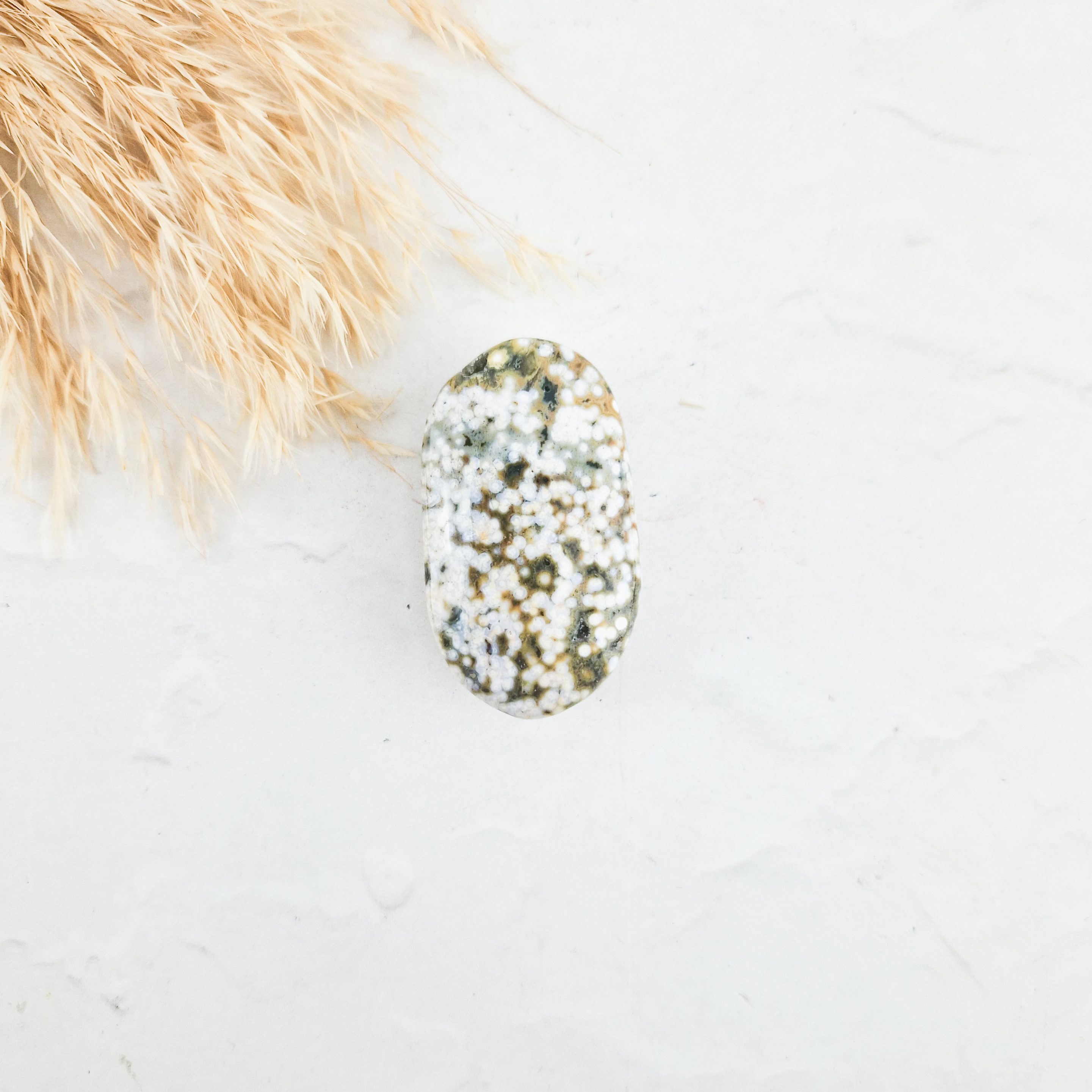 Oceaan jaspis palmsteen