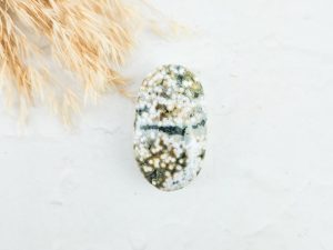 Oceaan jaspis palmsteen