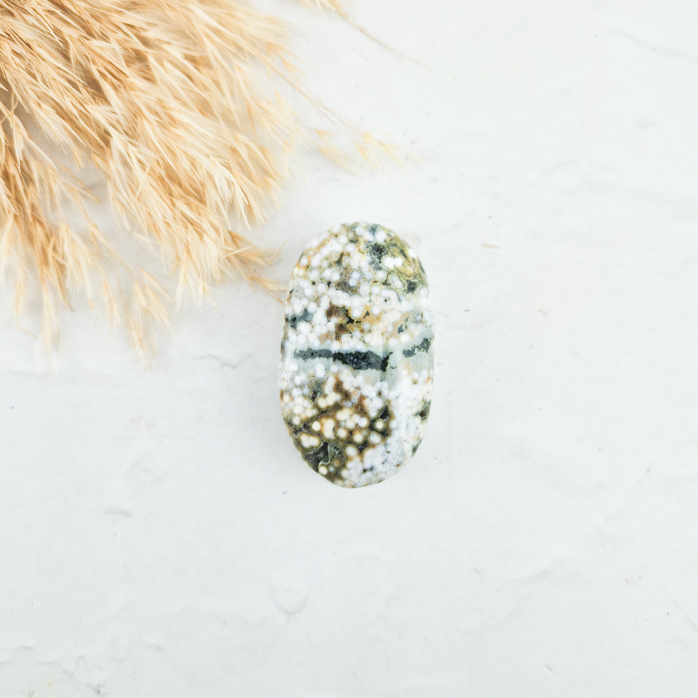 Oceaan jaspis palmsteen