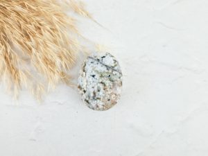 Oceaan jaspis palmsteen