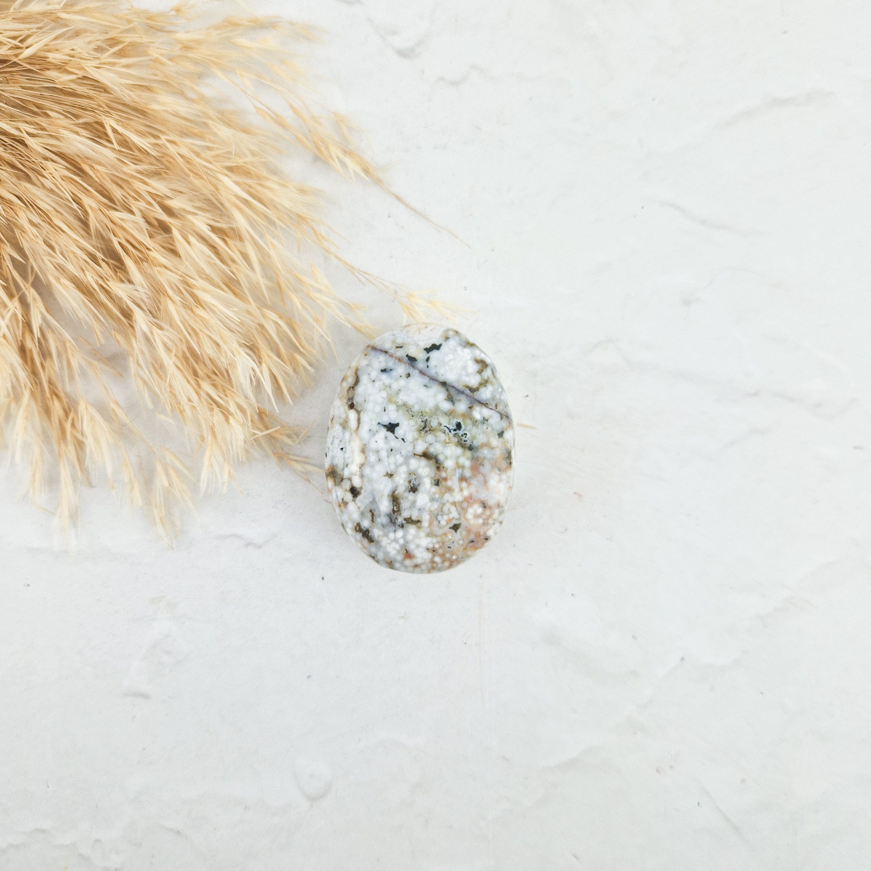 Oceaan jaspis palmsteen