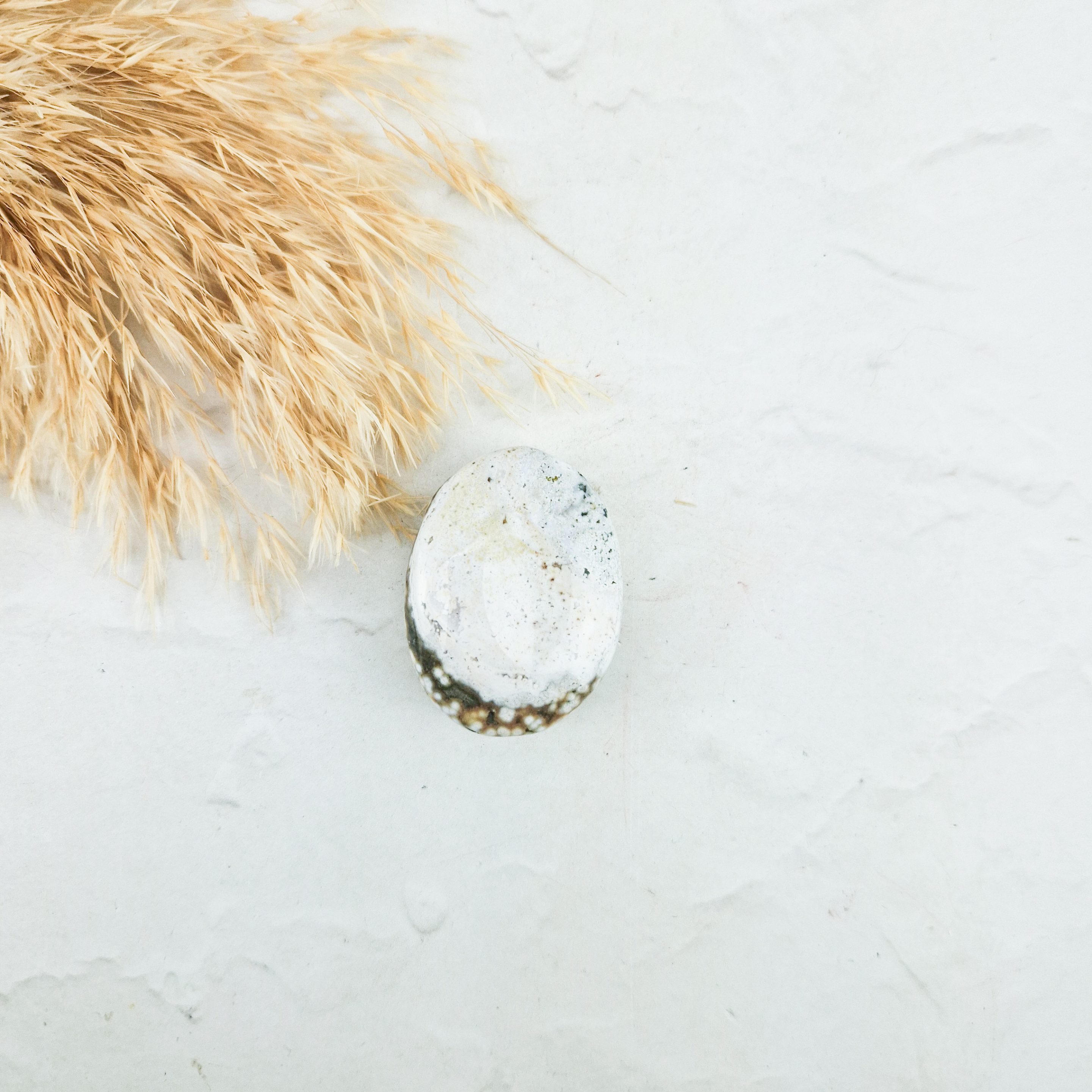 Oceaan jaspis palmsteen