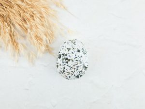 Oceaan jaspis palmsteen