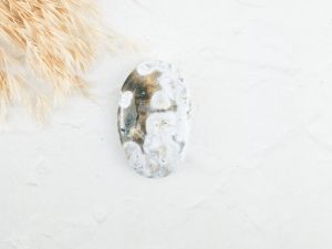 Oceaan jaspis palmsteen