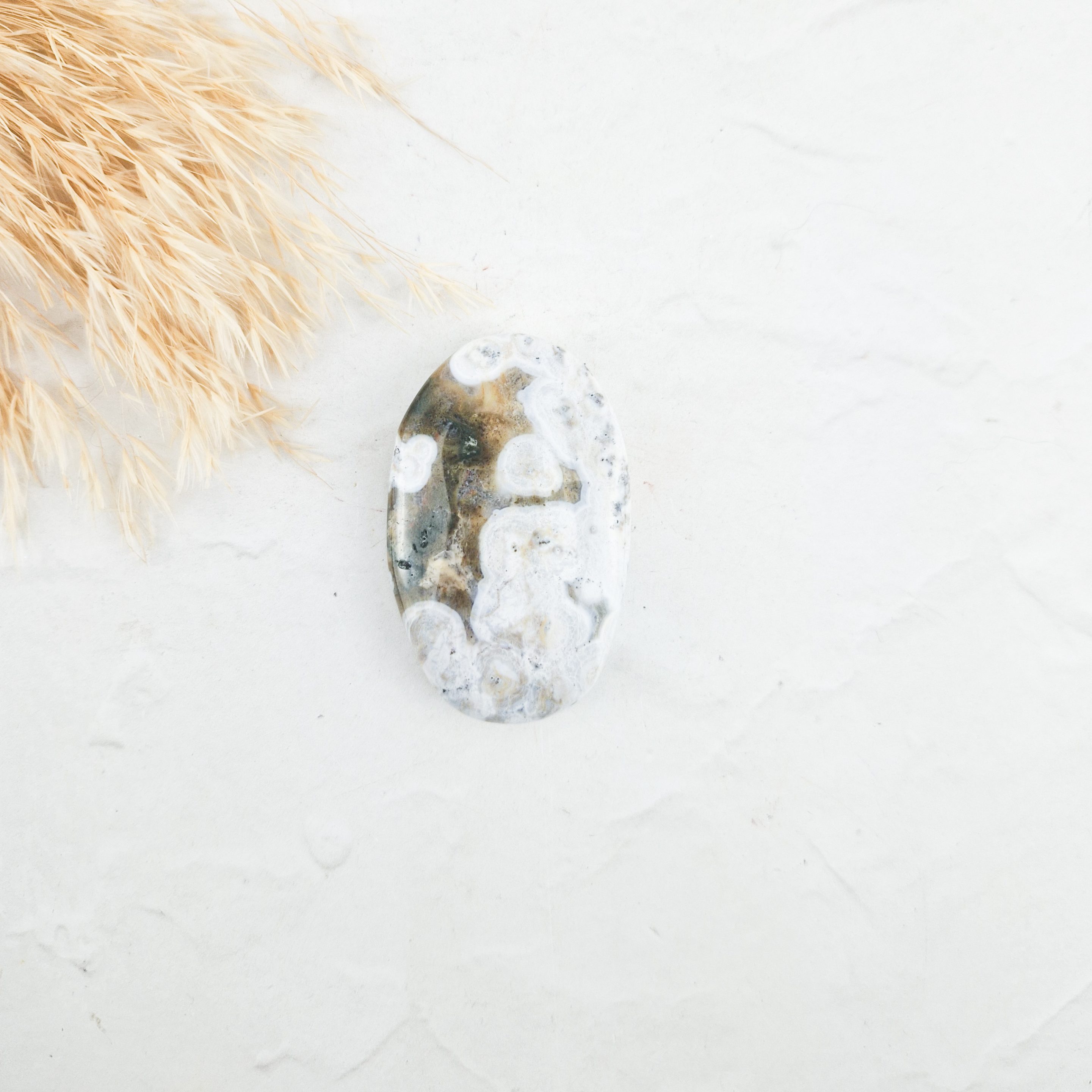 Oceaan jaspis palmsteen