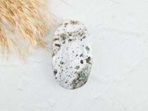 Oceaan jaspis palmsteen