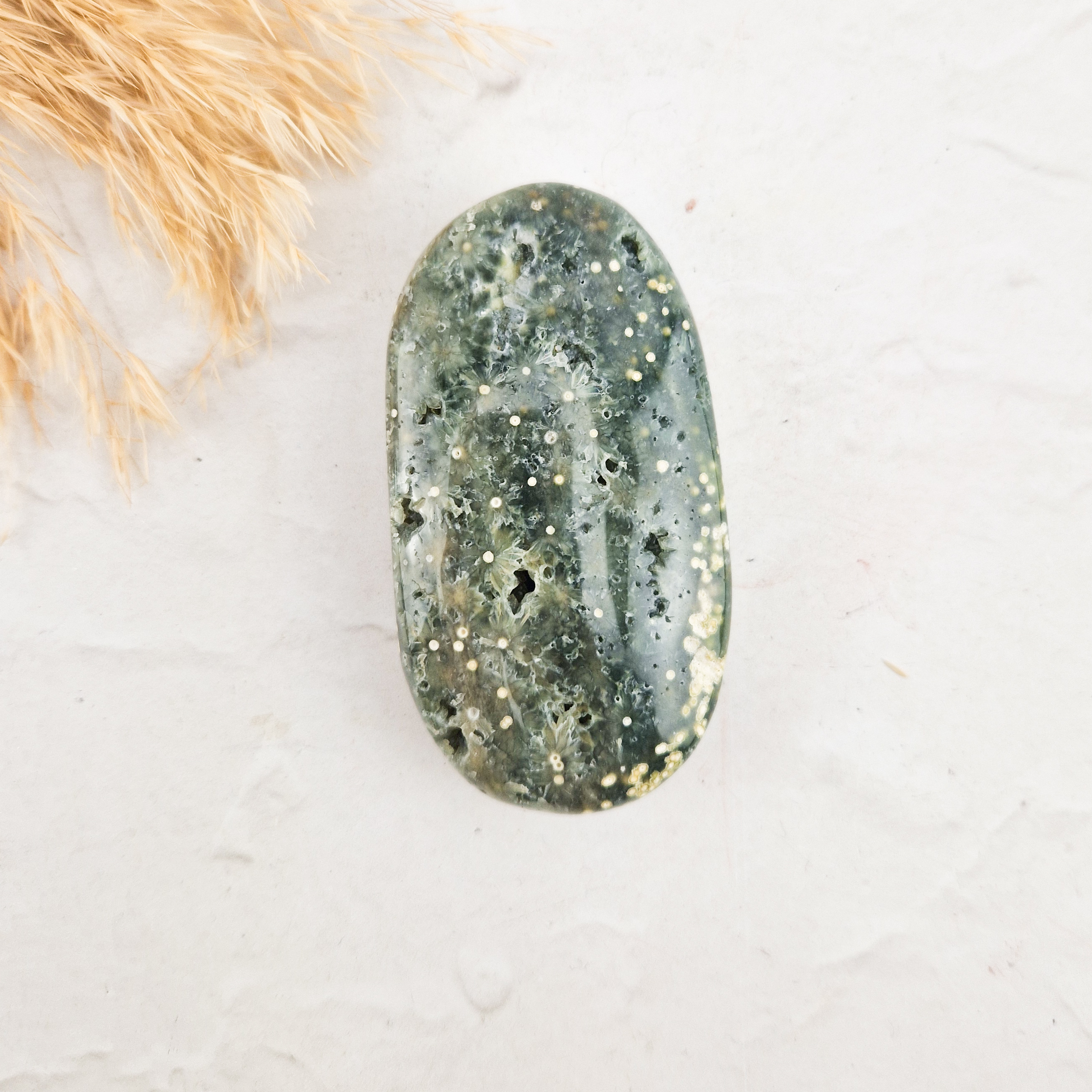 Oceaan jaspis palmsteen