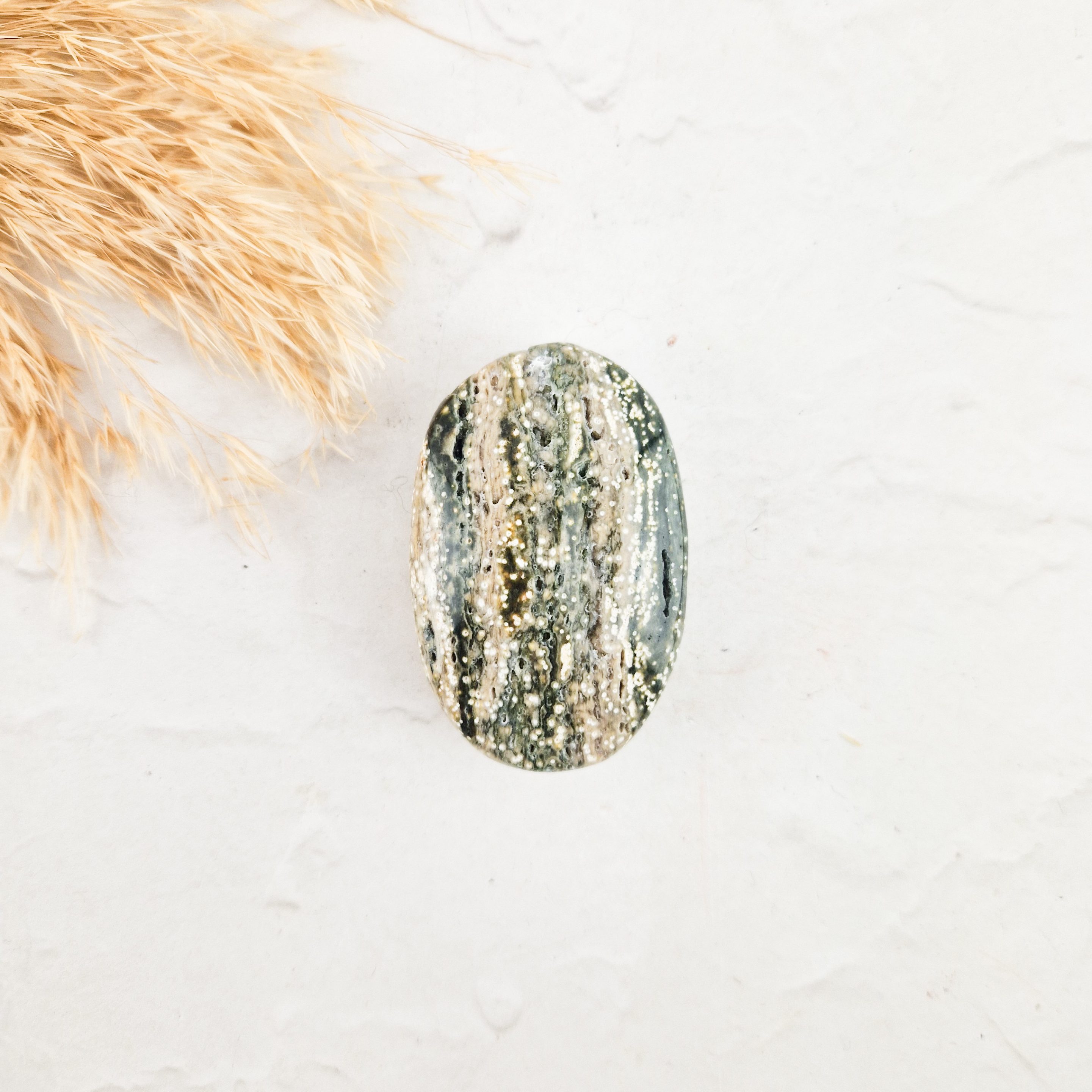 Oceaan jaspis palmsteen