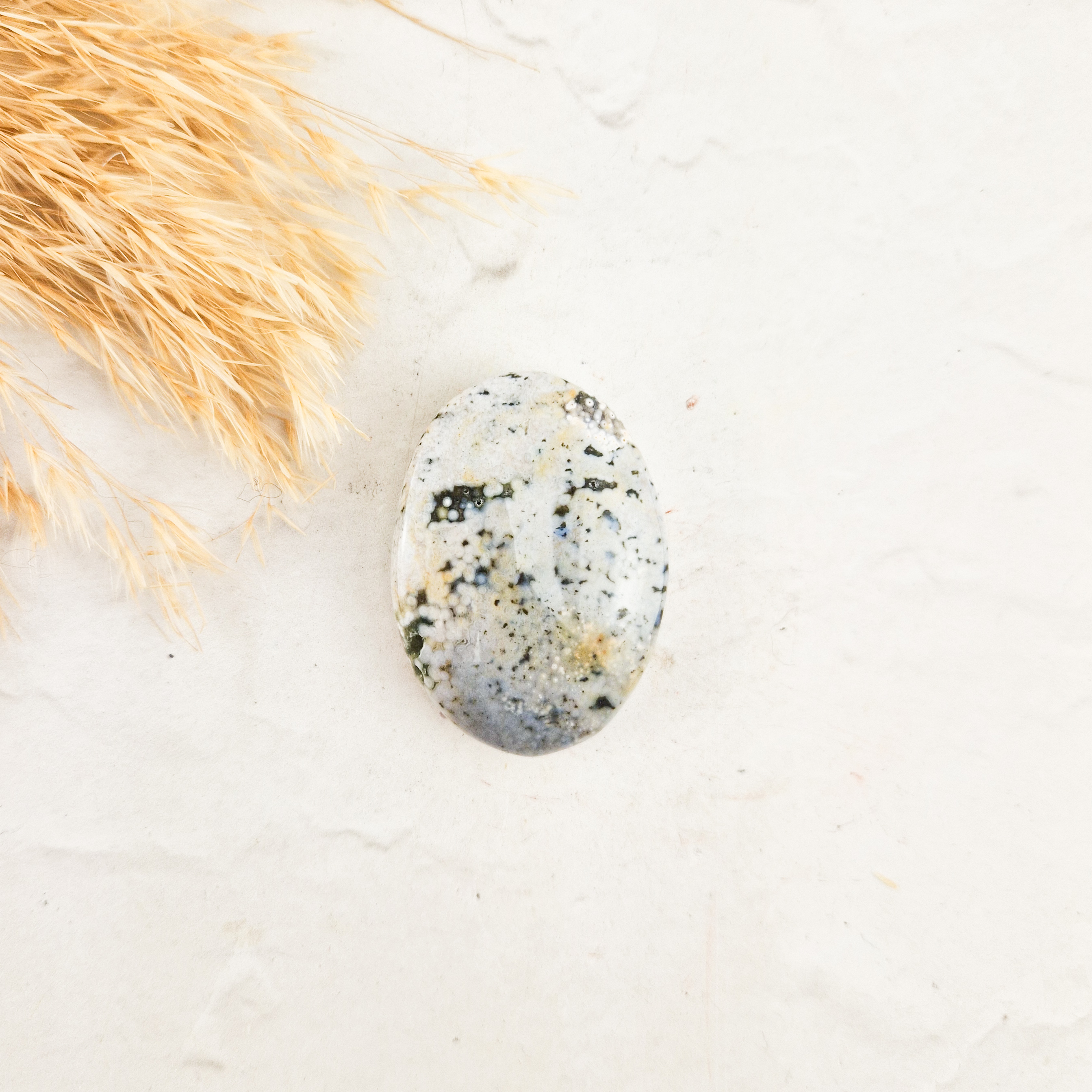 Oceaan jaspis palmsteen