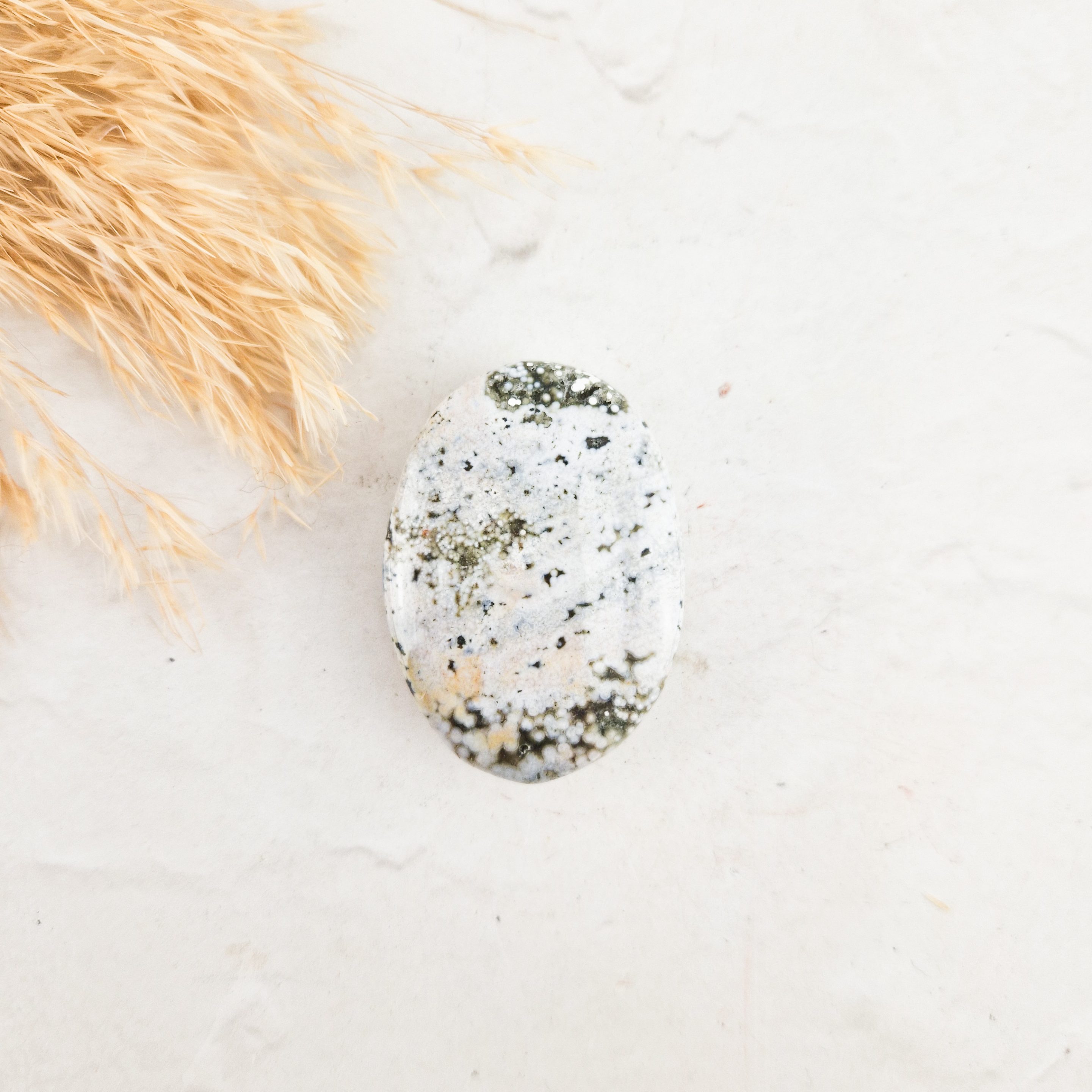 Oceaan jaspis palmsteen