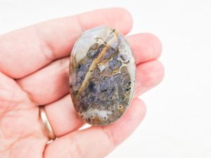 Oceaan jaspis palmsteen