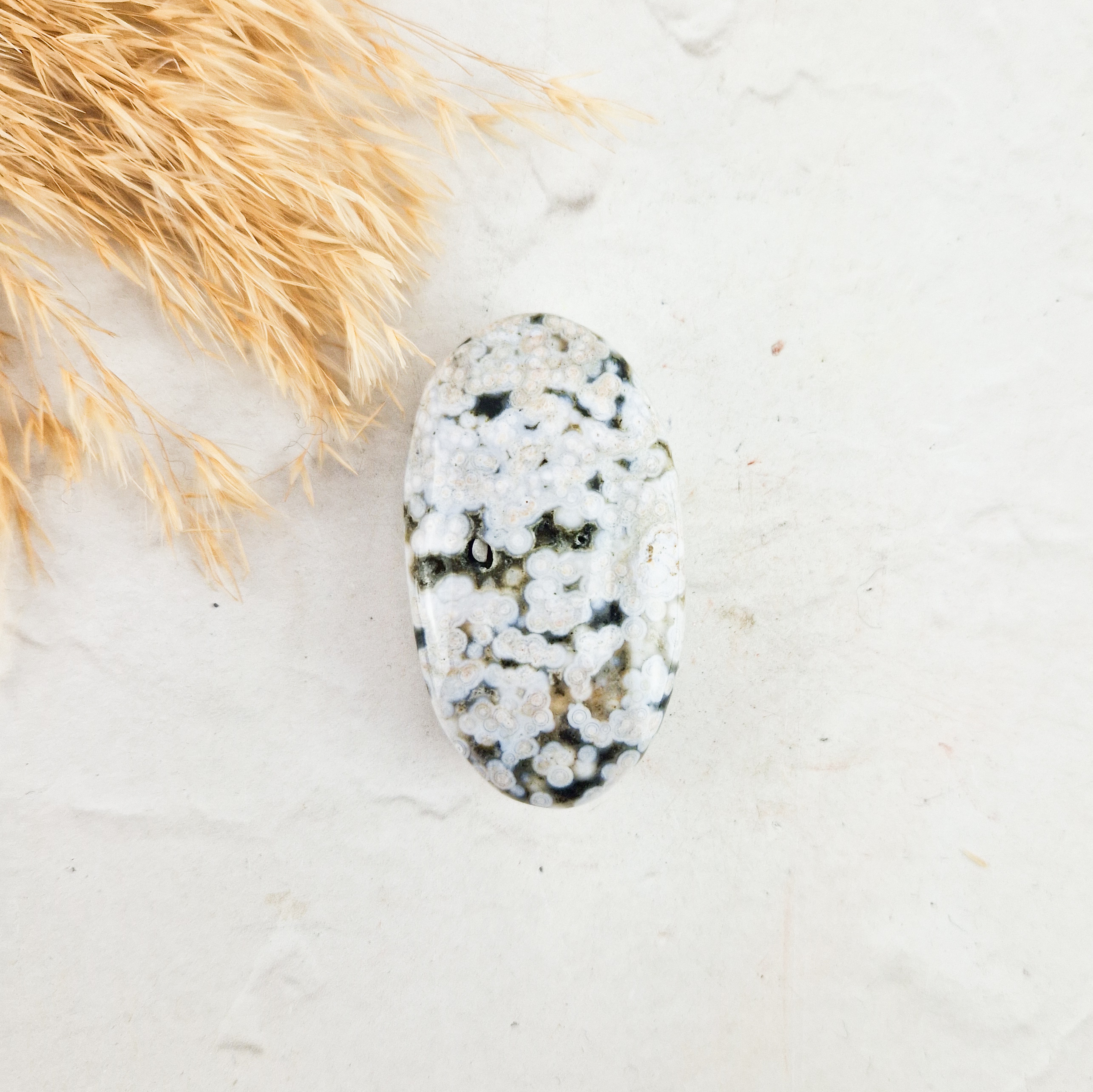 Oceaan jaspis palmsteen