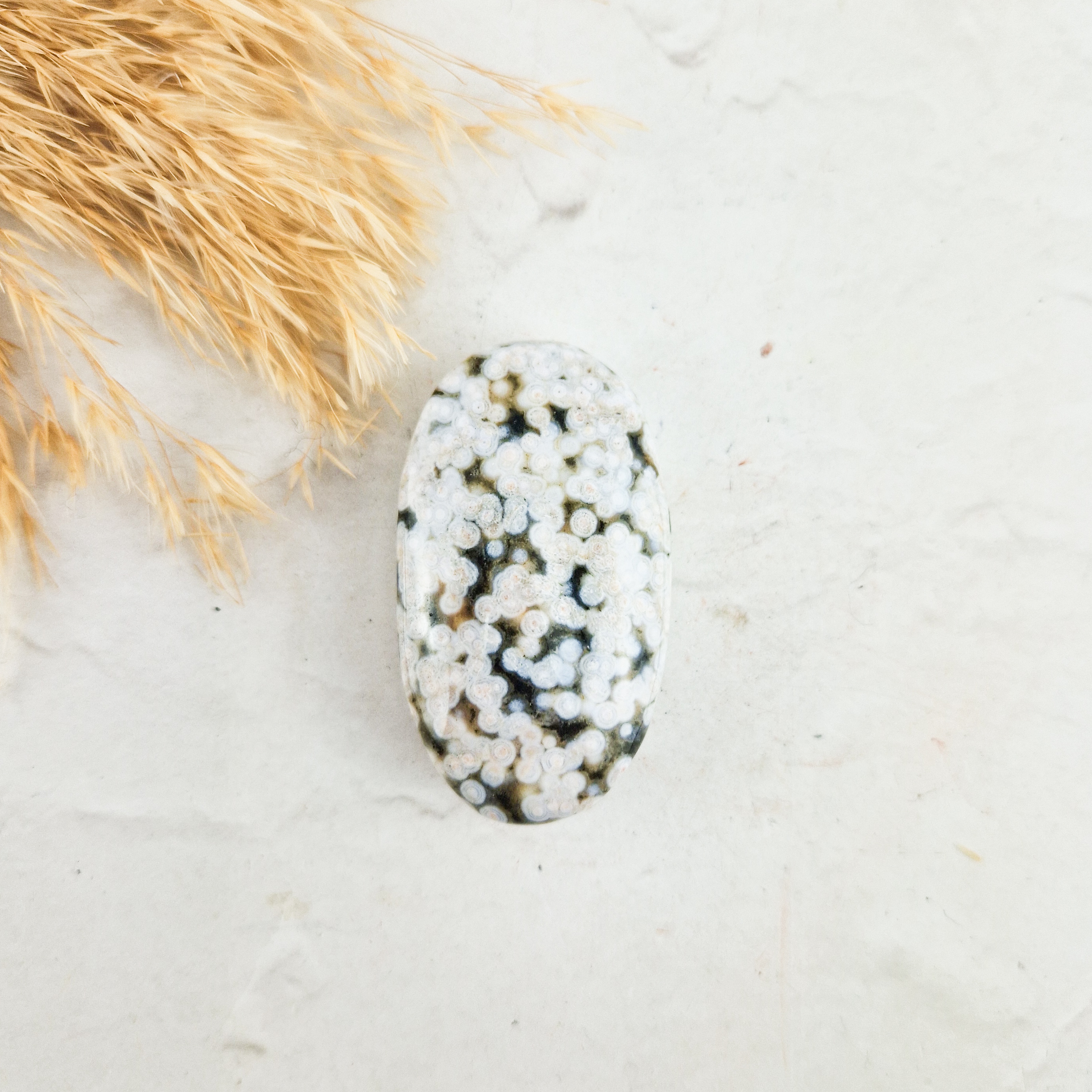 Oceaan jaspis palmsteen