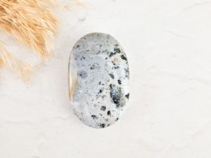 Oceaan jaspis palmsteen