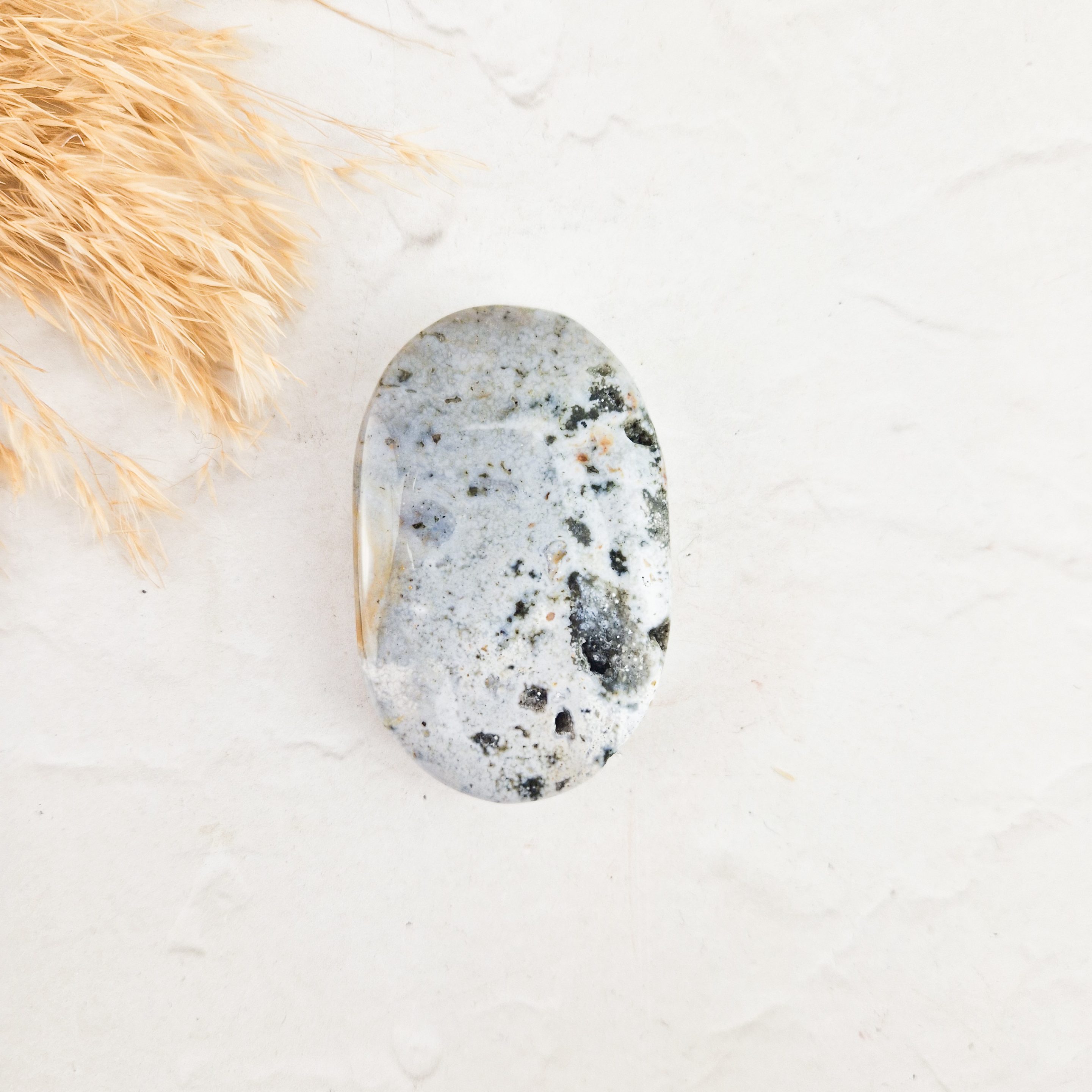 Oceaan jaspis palmsteen