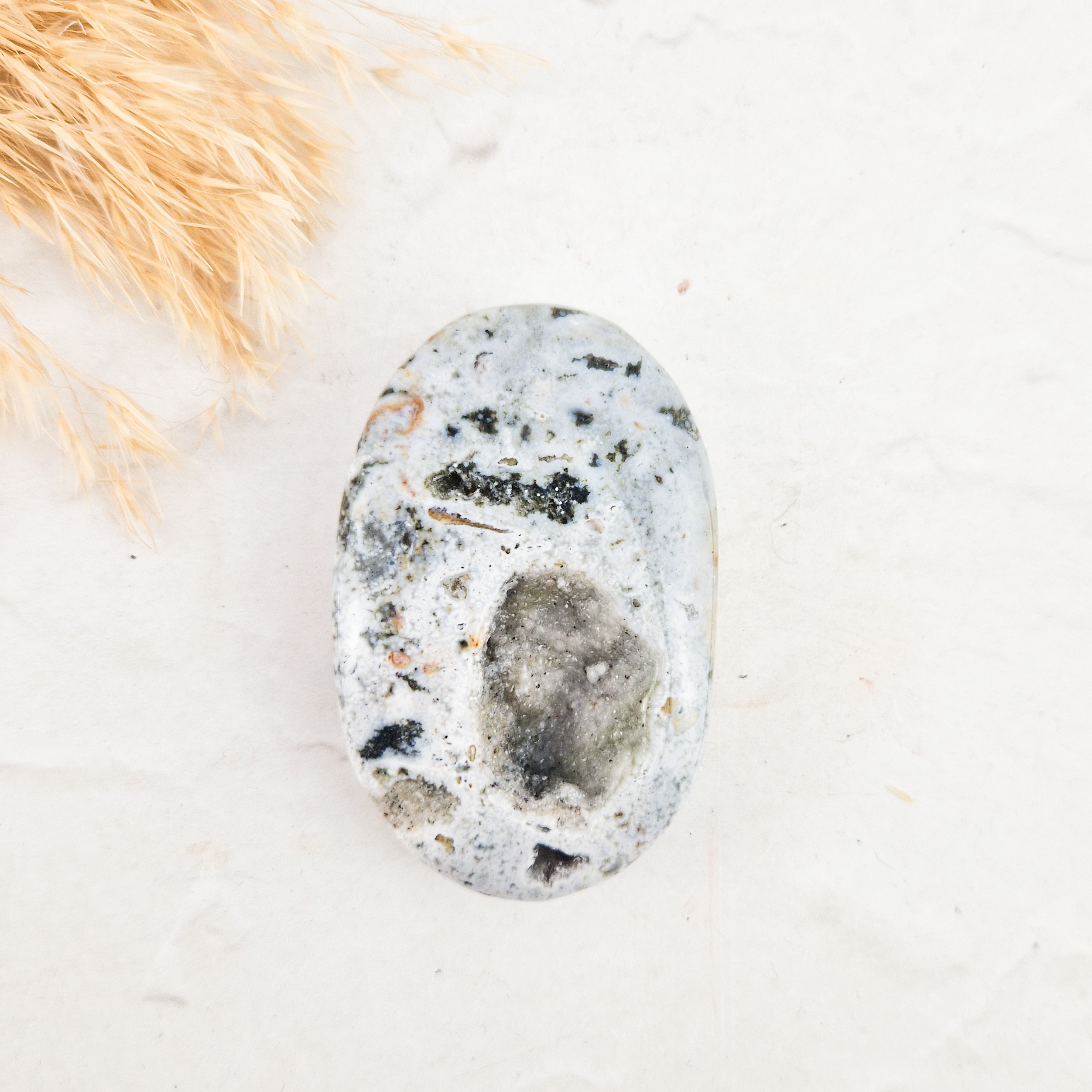 Oceaan jaspis palmsteen