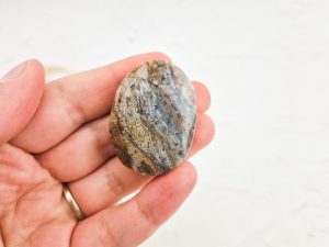 Oceaan jaspis palmsteen