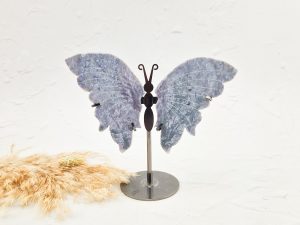 Oceaan jaspis vlinder