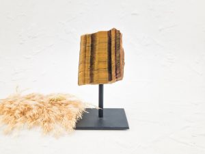 Tijgeroog op standaard