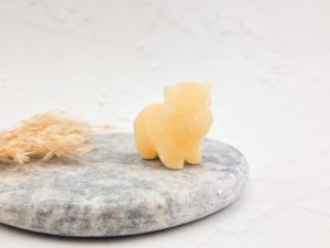 Gele calciet Schotse hooglander (koe)