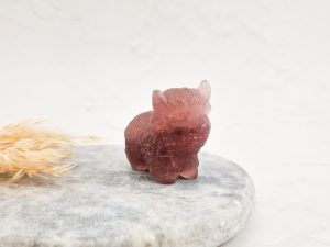 Aardbeienkwarts Schotse hooglander (koe)