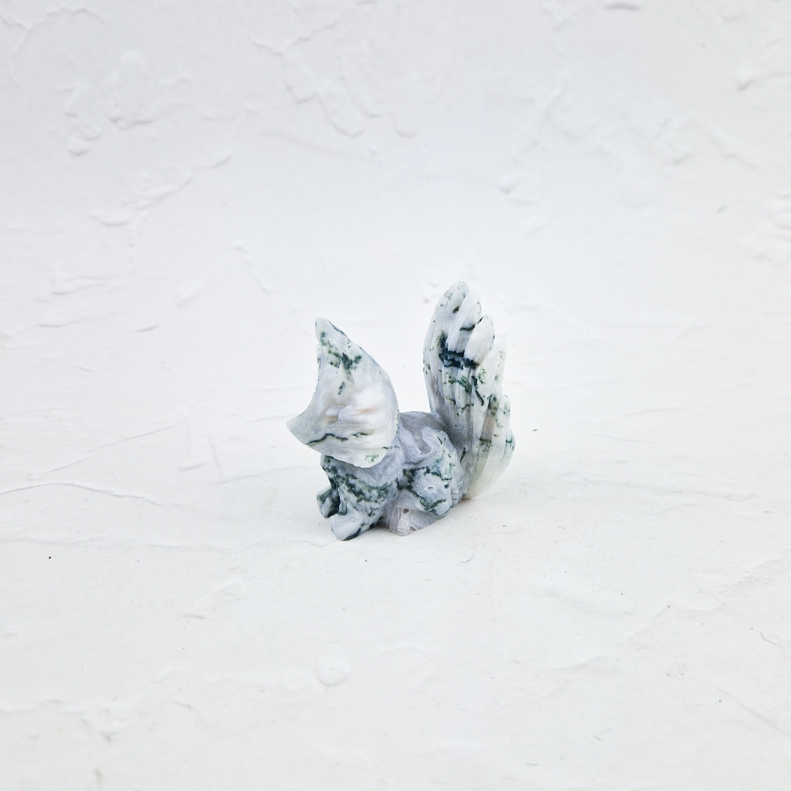 Boomagaat vos/ninetail fox