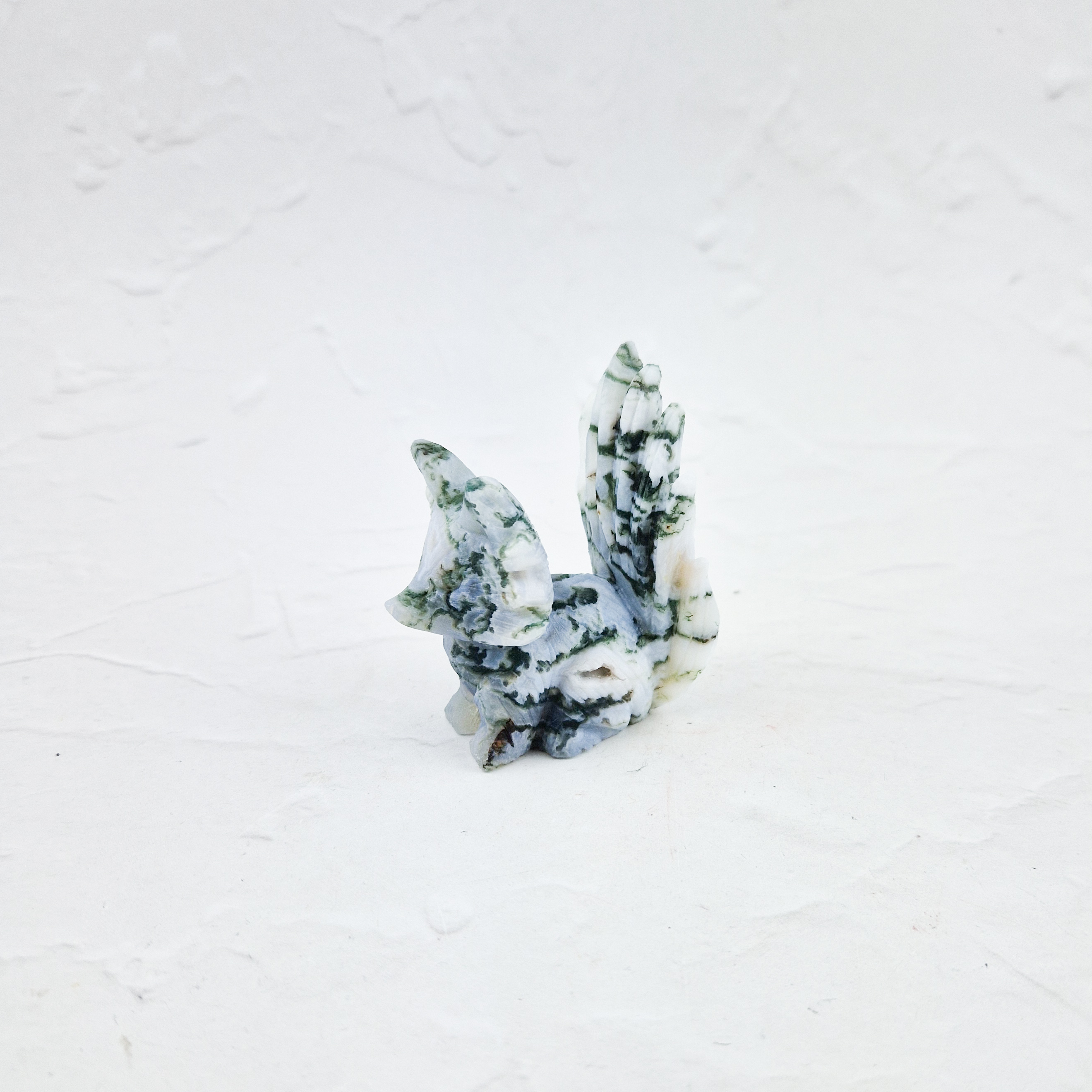 Boomagaat vos/ninetail fox