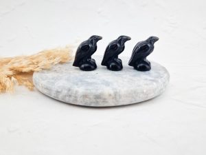 Zwarts obsidiaan raaf / vogel