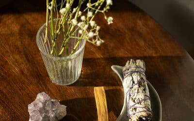 Je huis reinigen met salie: zo doe je dat!