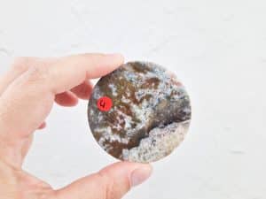 Oceaan jaspis schijfje