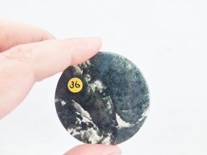 Oceaan jaspis schijfje