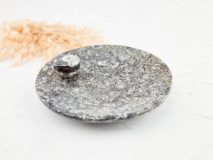 Orthoceras schaaltje rond