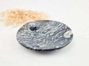 Orthoceras schaaltje rond