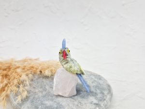 Vogel op stukje steen