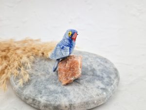 Vogel op stukje steen