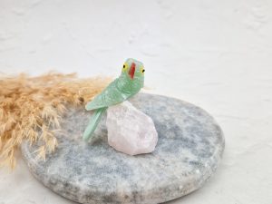 Vogel op stukje steen