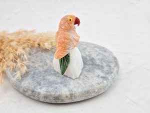 Vogel op stukje steen