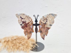 Mexicaanse agaat vlinder op standaard