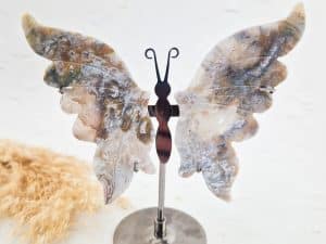 Mosagaat vlinder op standaard