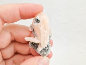 Cluster uit India