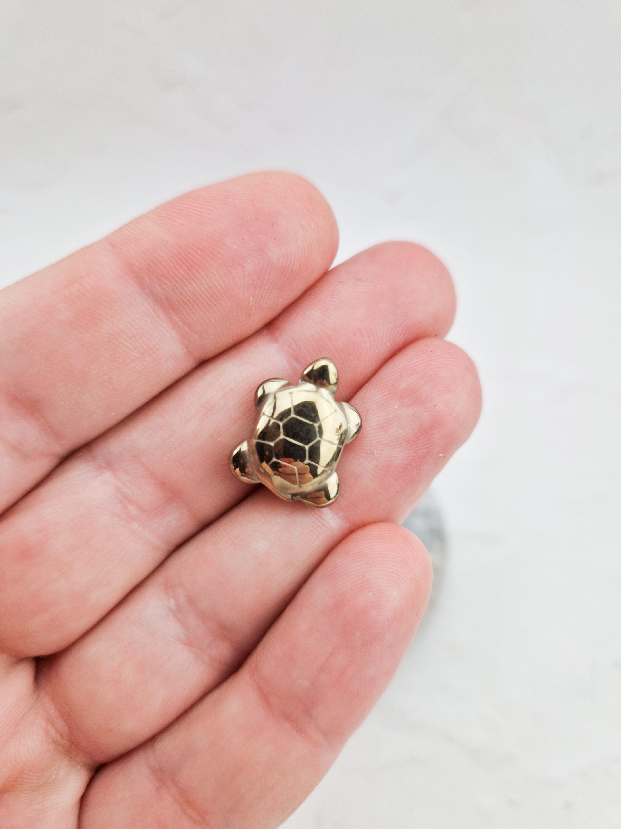 Pyriet schildpad (mini)